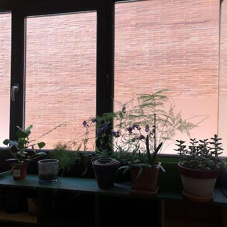 Logement De Charme Aux Carmes Toulouse Buitenkant foto